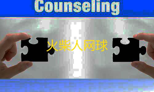 网易mc辅助器免费开挂火柴人网球