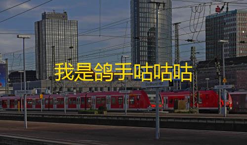 超凡先锋免费直装科技我是鸽手咕咕咕