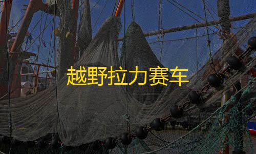 萤火手游透视辅助器下载越野拉力赛车